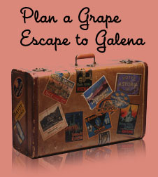 Plan a Grape Escape to Miss Kitty's Grape Escape Wine & Martini Bar in Galena IL